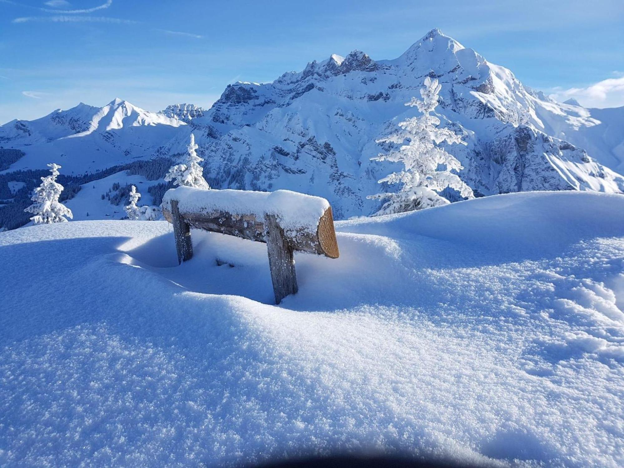 Apartment Laerchehuus By Interhome Adelboden Eksteriør bilde