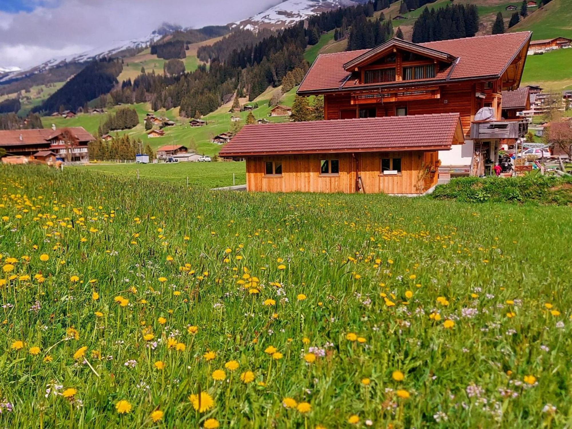 Apartment Laerchehuus By Interhome Adelboden Eksteriør bilde